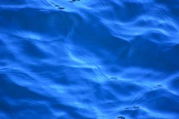 blue_waves