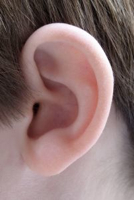 781459_ear