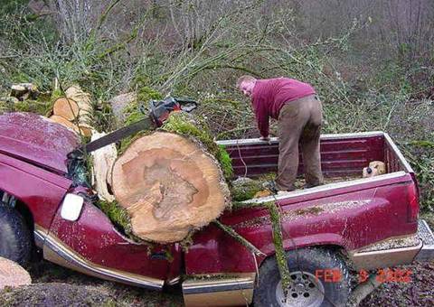 Tree-smash-truck.jpg